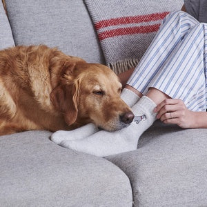 Sweet William Designs 'Schnauzer' Dog Walking Socks