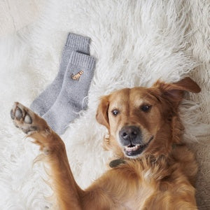 Sweet William Designs 'Golden Retriever' Dog Walking Socks