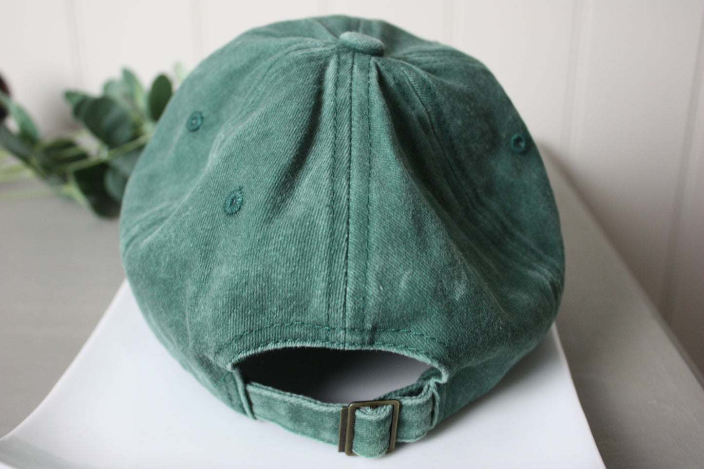 'absolutely not' Vintage Coloured Cap