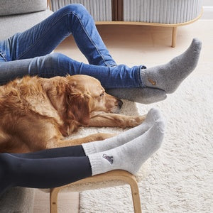 Sweet William Designs 'Chocalate Cockapoo/Labradoodle' Dog Walking Socks