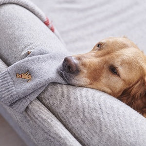 Sweet William Designs 'Golden Retriever' Dog Walking Socks