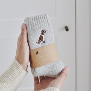 Sweet William Designs 'Springer Spaniel (Liver & White)' Dog Walking Socks